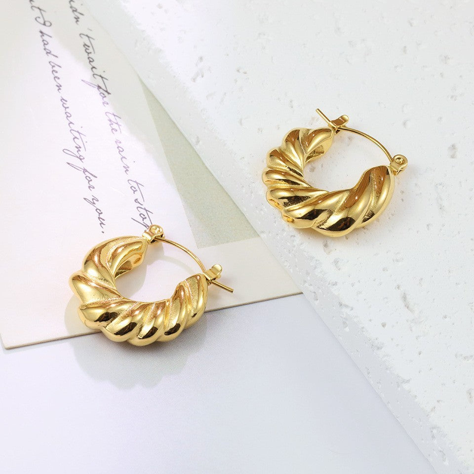 【Scottish Classic】Urban Spiral 316L Titanium Steel Twisted Hoop Earrings