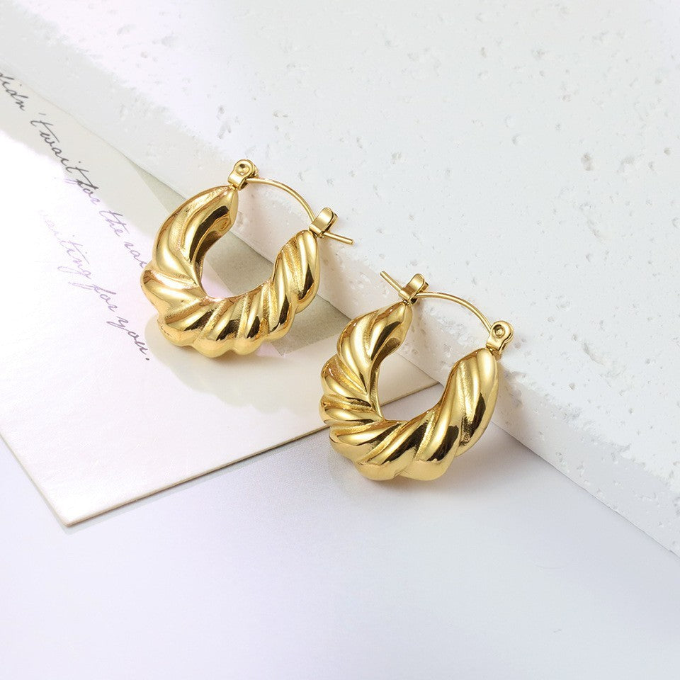 【Scottish Classic】Urban Spiral 316L Titanium Steel Twisted Hoop Earrings