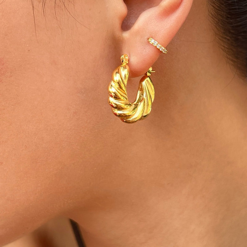 【Scottish Classic】Urban Spiral 316L Titanium Steel Twisted Hoop Earrings